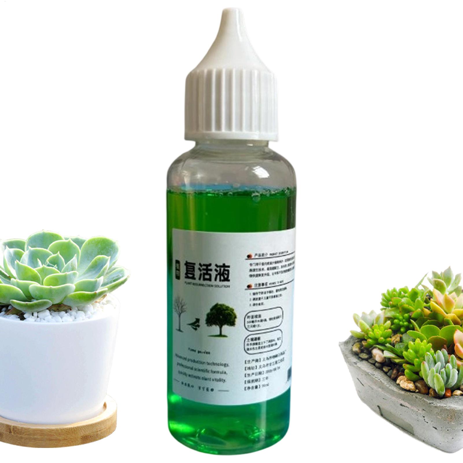 Root Stimulator Liquid - 식물용 뿌리 자극제, 액체 형태의 뿌리