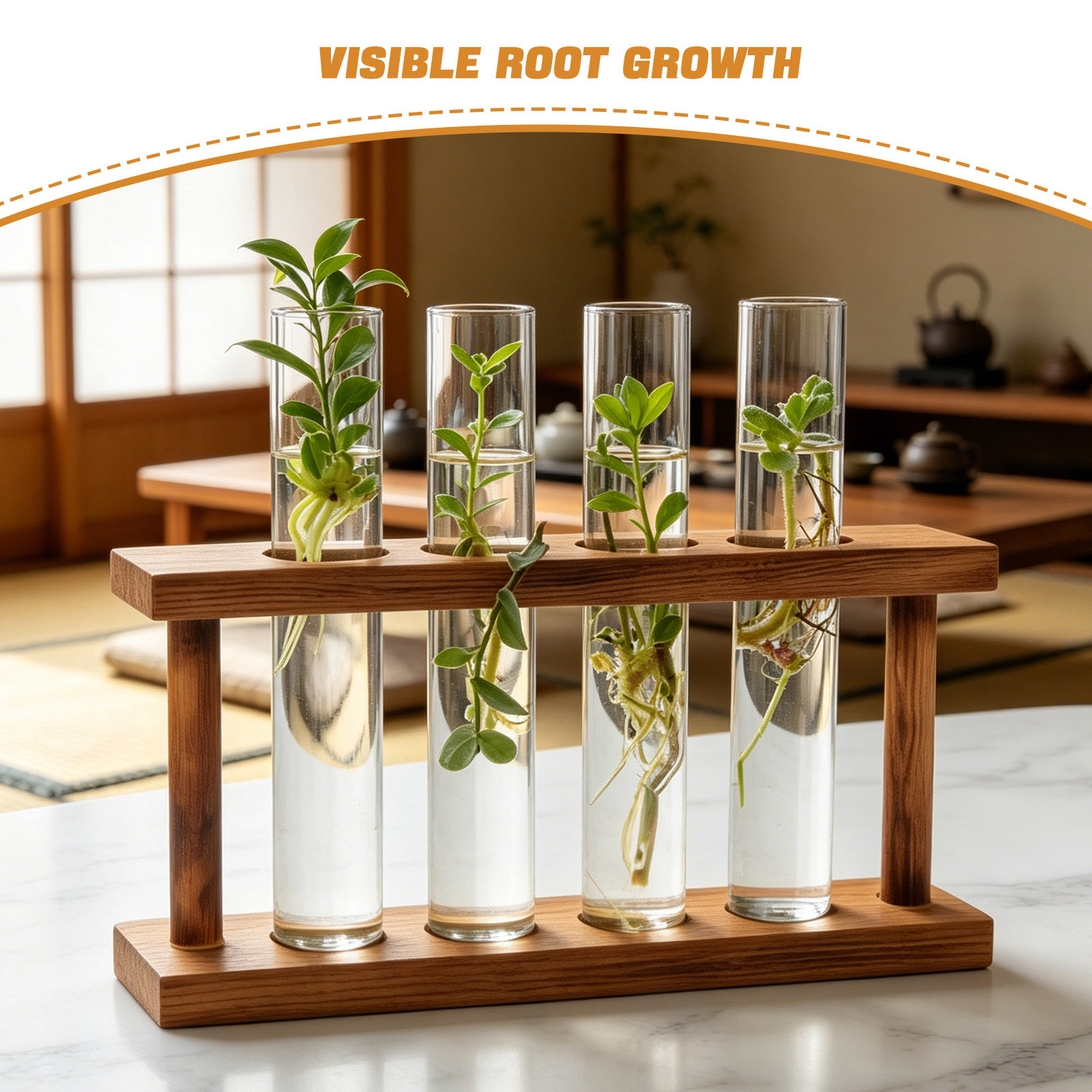나무 식물 번식 스테이션 유리 시험관 화병 홀더 빈티지 - Propagation Station Vase 리뷰 및 가격
