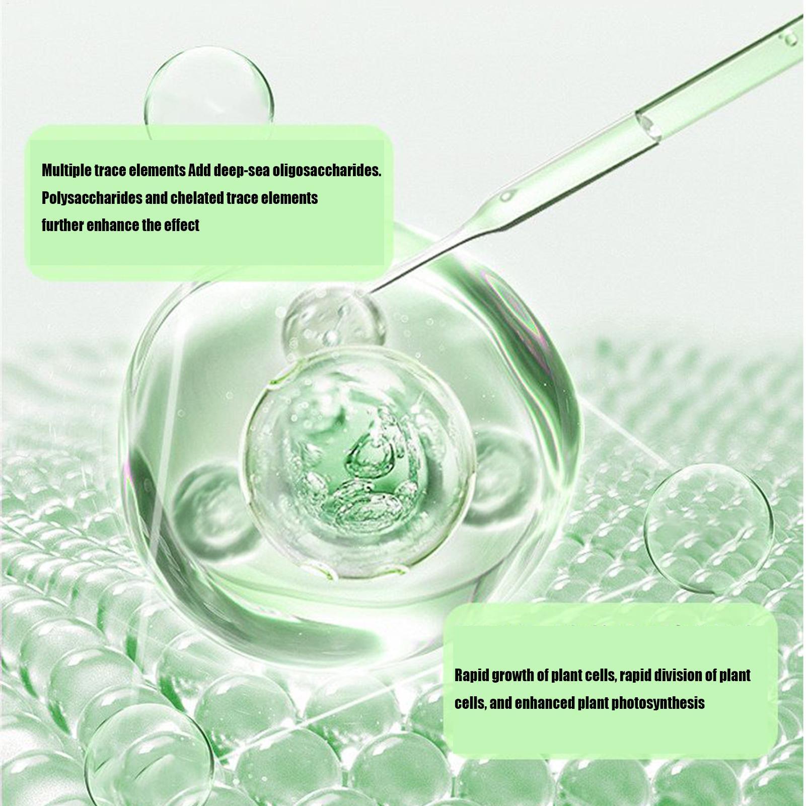 식물용 뿌리 자극제, 액체 형태의 뿌리 발달 촉진제 5 - Root Stimulator Liquid 리뷰 및 가격
