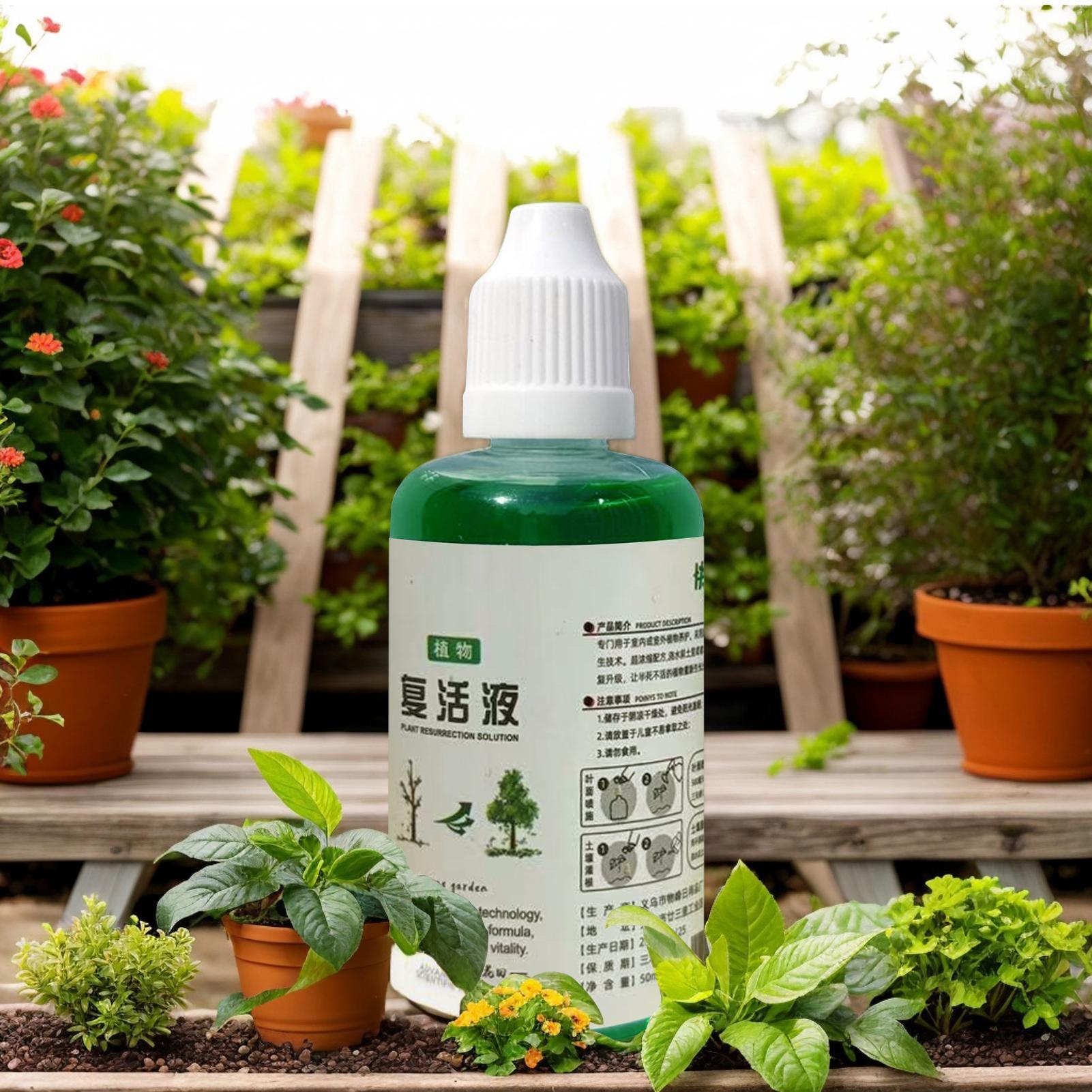 식물 뿌리 영양 비료 50ml 유기농 천연 토양 비료액 - Root Stimulator Liquid 리뷰 및 가격