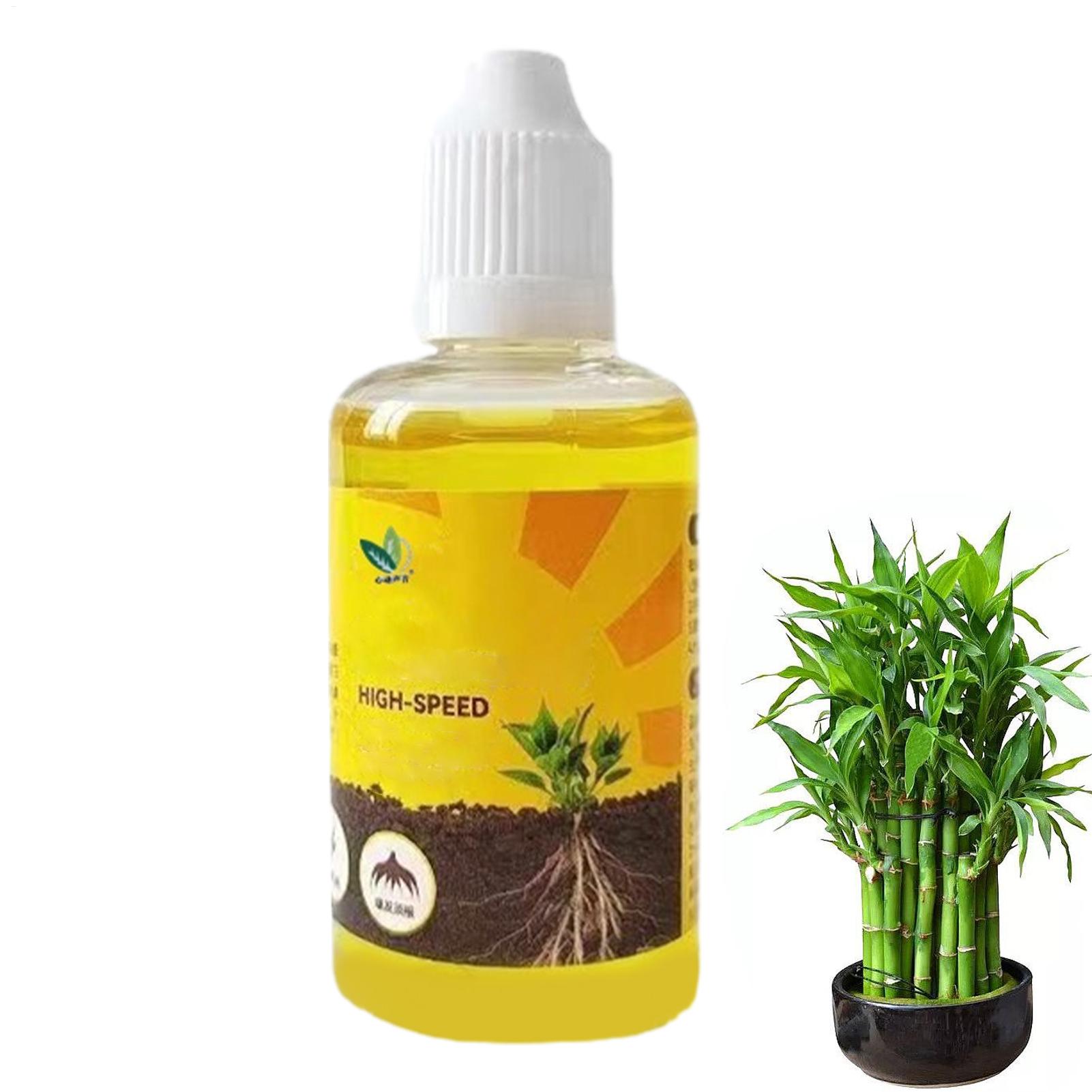 식물 부활 액체 50ml 꽃 과일 야채 비료 영양 솔루 - Root Stimulator Liquid 리뷰 및 가격