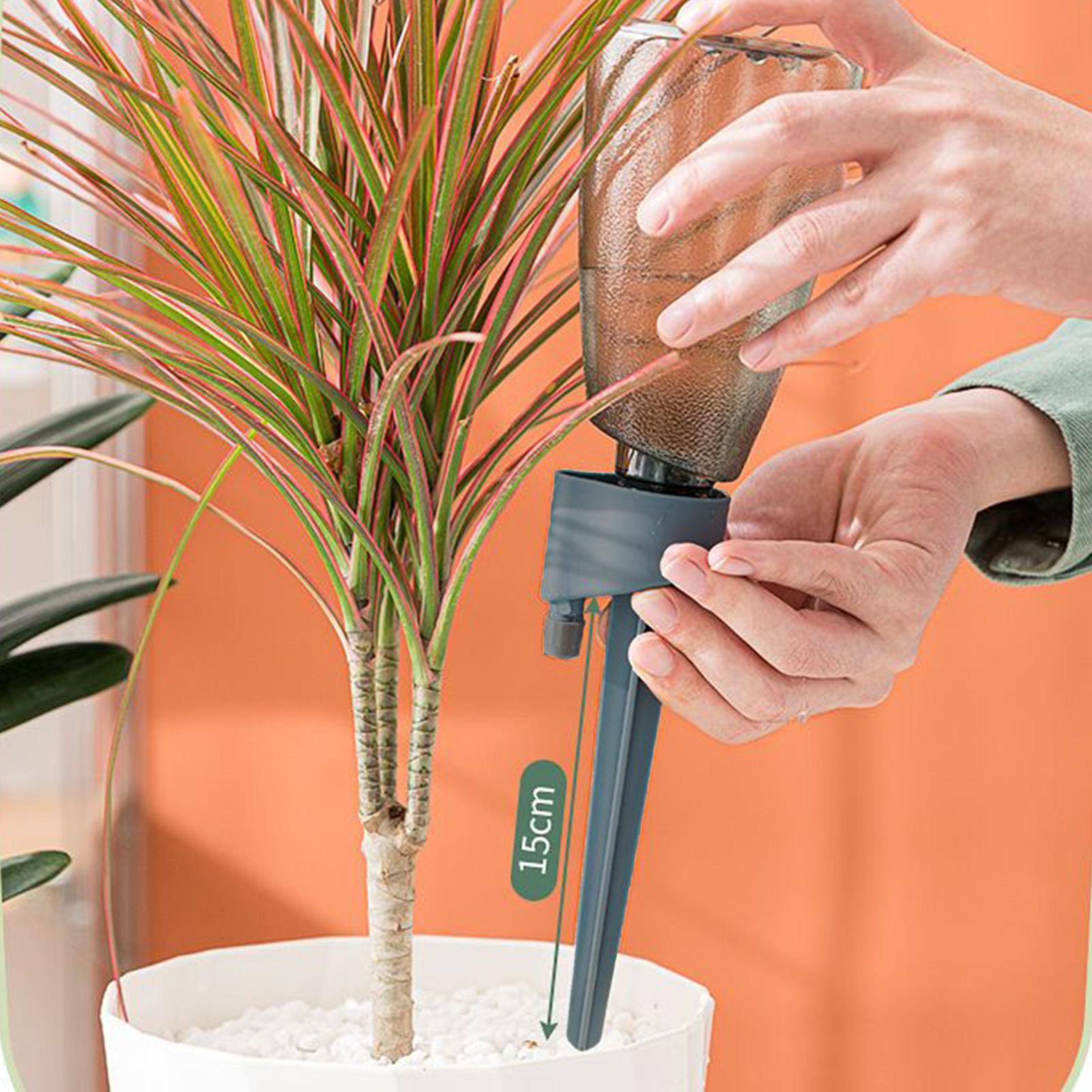 6개 자동 급수기 가정용 꽃 식물 자동 급수 장치 실내 - Self Watering Insert 리뷰 및 가격