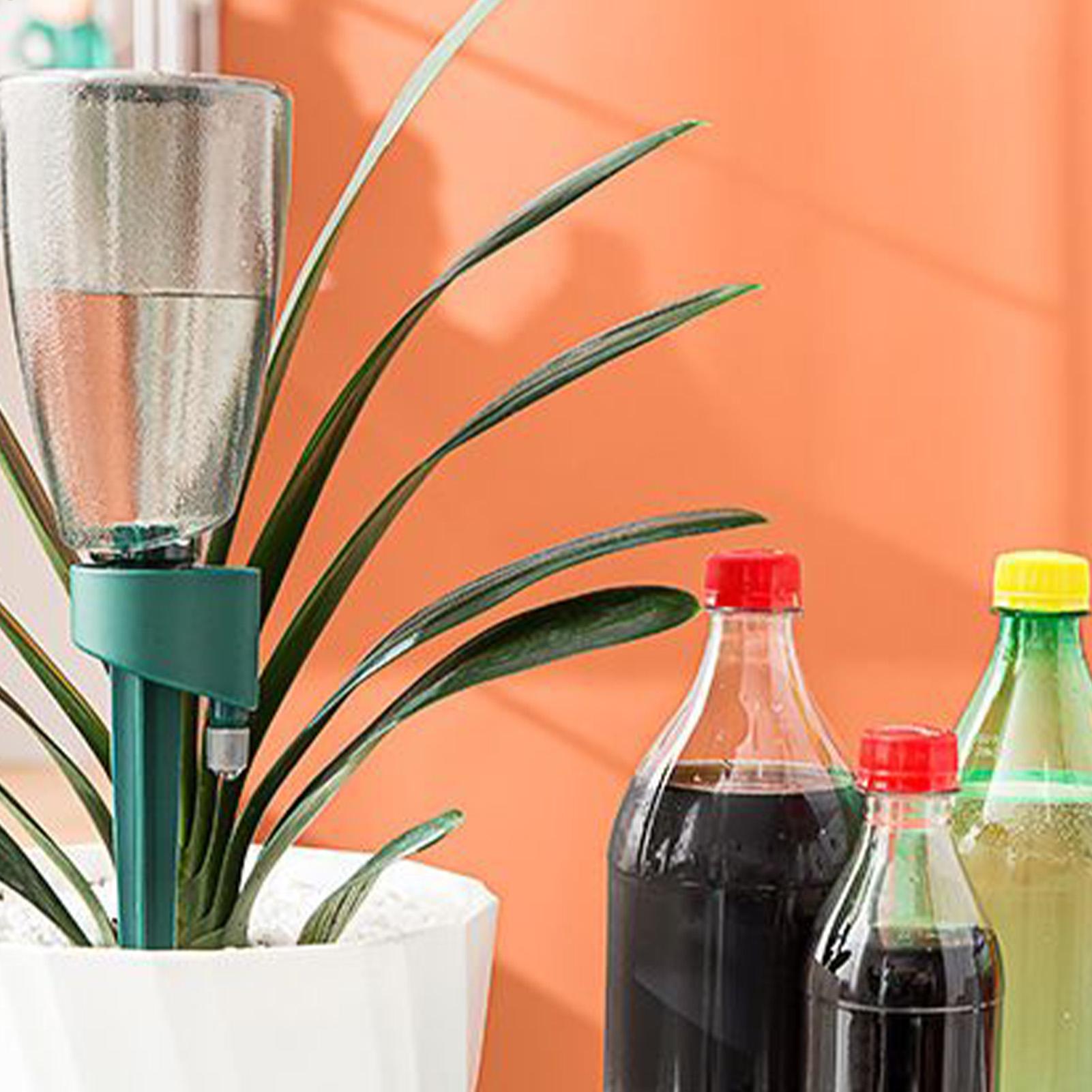 6개 자동 급수기 가정용 꽃 식물 자동 급수 장치 실내 - Self Watering Insert 리뷰 및 가격