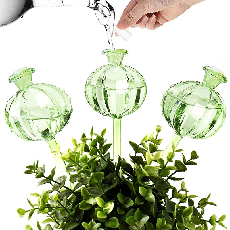 PVC 자동 식물 급수 벌브 모양 꽃 식물 물방울 주입 - Self Watering Insert 리뷰 및 가격